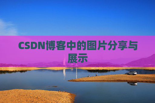 CSDN博客中的图片分享与展示